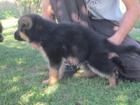 /album/fotogaleria-a-vrh/stence-5-tyzdnov-134-jpg/